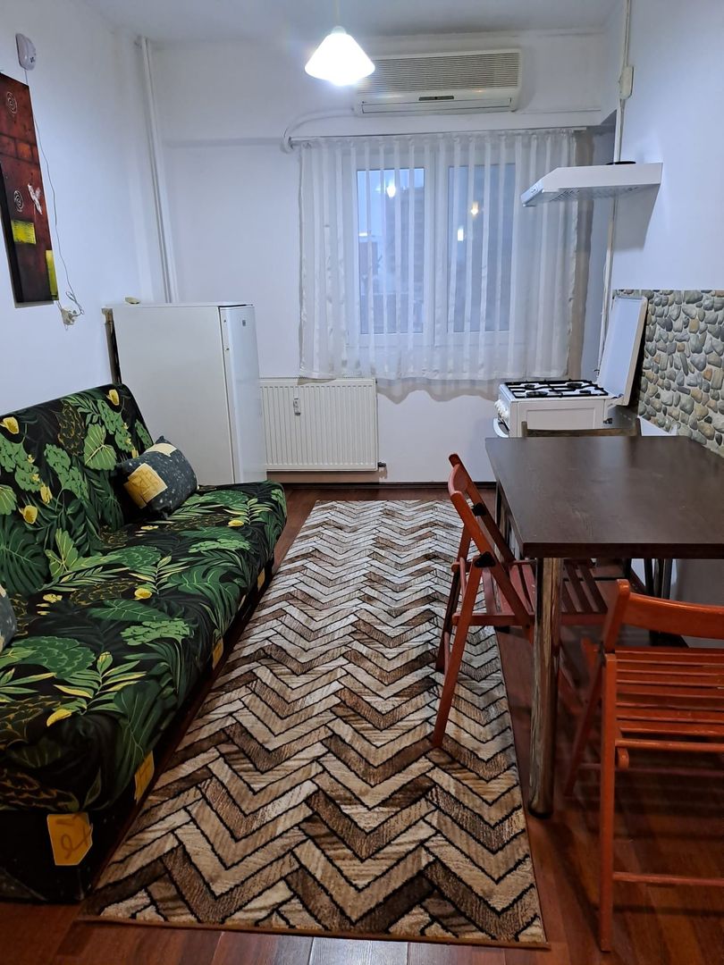 Apartament Versatil, Proaspăt Zugrăvit– Bd.Corneliu Coposu 1, Birou sau Locuinta - Poză 4