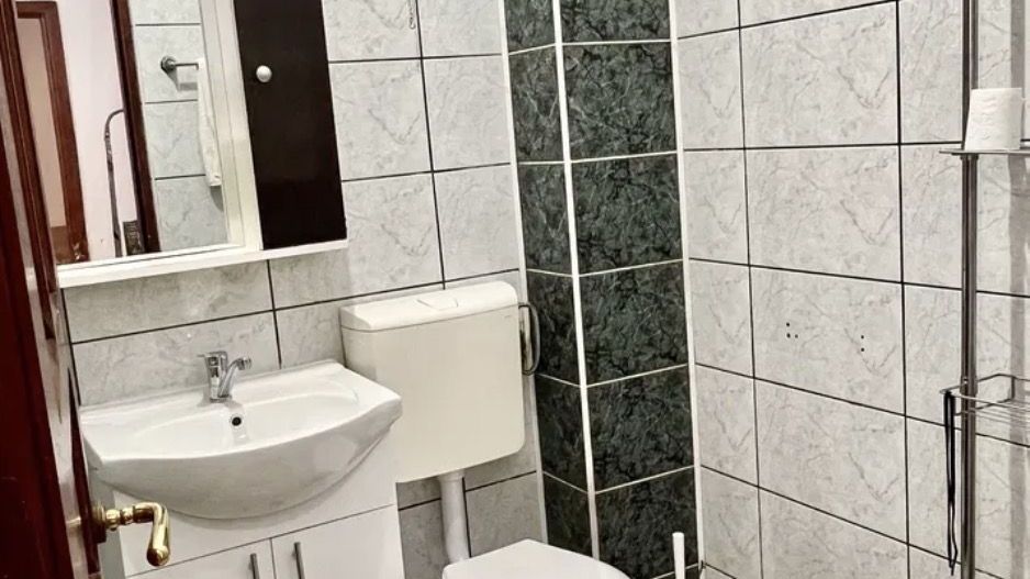 AP. 2 CAMERE- IANCULUI, PET-FRIENDLY, CENTRALA PROPRIE, METROU 10 MIN - Poză 7