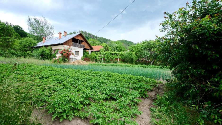 Casa cu teren generos - 4696 mp Apa Sarata - Campulung !! - Poză 5