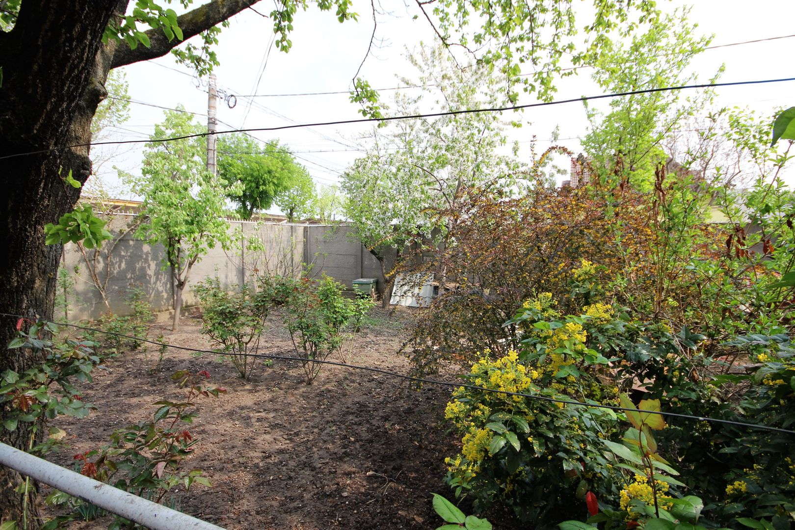 Casă 3 camere- zona Telegrafului - Poză 11