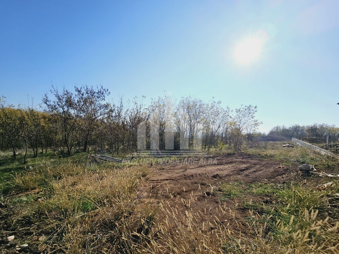 Teren intravilan de vanzare, Podei - Poză 3