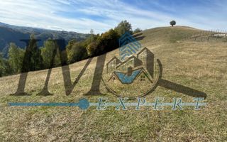 Teren extravilan la munte zona Loman! - Poză 4