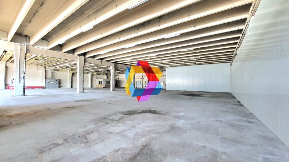 Spatiu industrial - 1229 mp  # plus-imo.ro - Poză 3