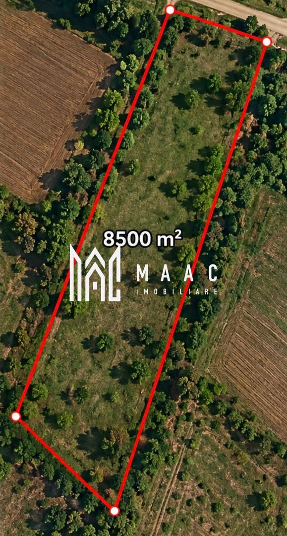 Teren 8500MPU I Ideal Cabana I Construcții I Acces 2 drumuri - Poză 2