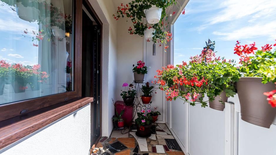 Rezervat Apartament renovat cu 2 camere Micalaca etaj 3 Comision 0 - Poză 3