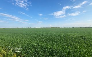 Teren arabil 10.000 mp, Calea Sagului DN 59 - Poză 2