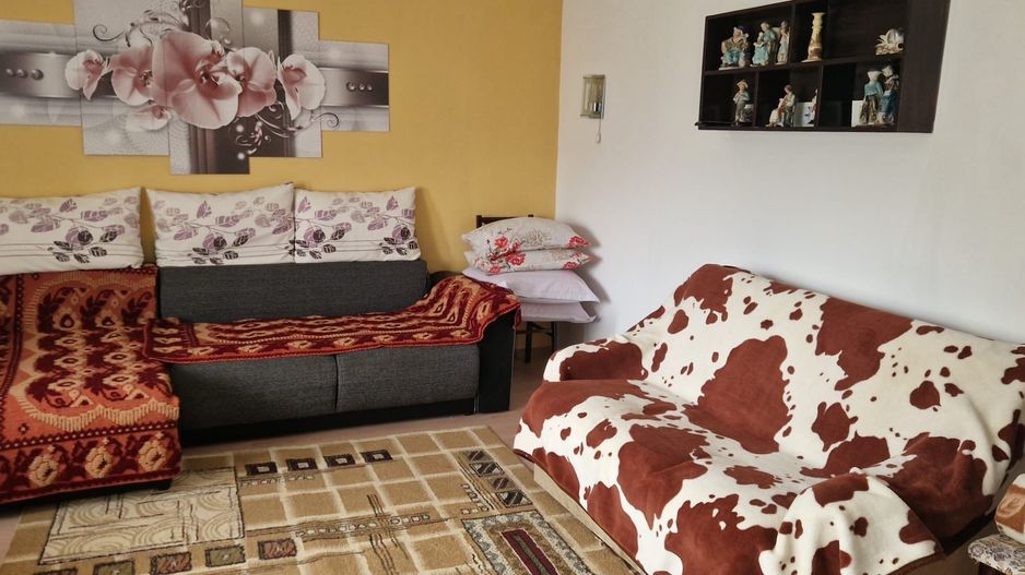 Casa si teren potential turistic Slatioara-Suceava - Poză 9
