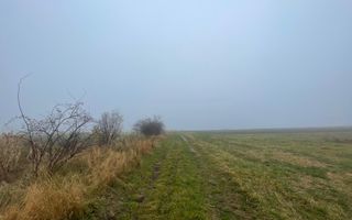 TEREN EXTRAVILAN | DOUA PARCELE 2.84 HA| IDEAL AGRICOL | DARMANESTI - Poză 8