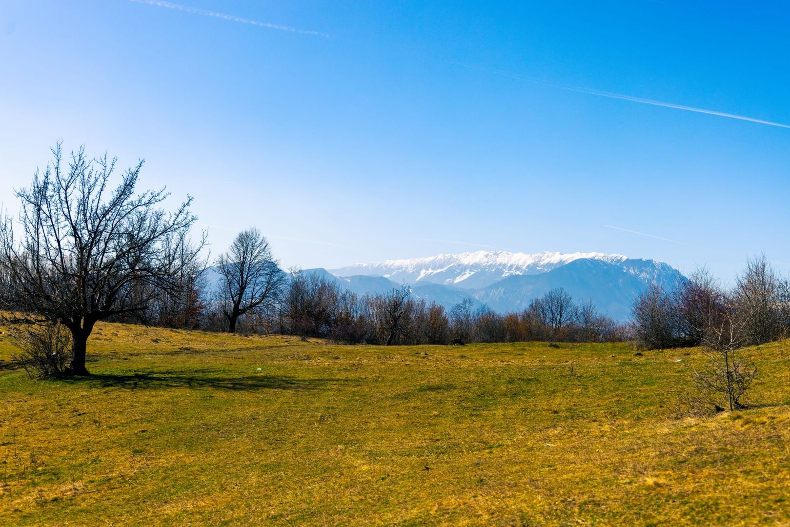 Teren 6 Hectare cu PUZ pentru Resort Turistic panorma Muntii Piatra Craiului - Poză 5