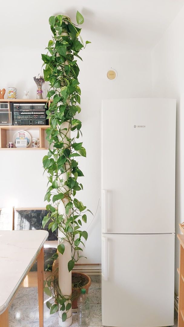 Parcul Trandafirilor, garsoniera in bloc de apartamente, loc parcare - Poză 9