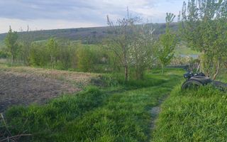 Teren intravilan de vânzare în sat Vânători, comuna Popricani, județul Iași - Poză 5