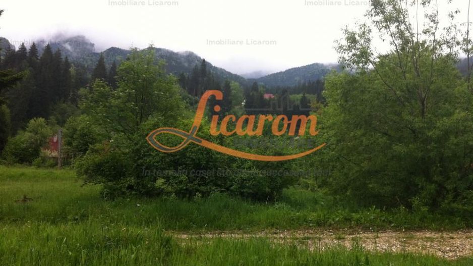 Teren intravilan Cotul Donului,pretabil Hotel/pensiune. - Poză 3