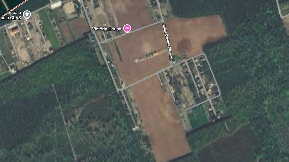 800 mp padurea Snagov Ciofliceni l utilitati la strada - Poză 7
