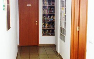 Casa/Vila/Spatiu comercial  Rahova-Sos.Salaj - Poză 11