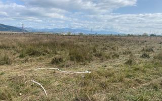 TEREN INTRAVILAN 5000 MP, GRUI, CAMPULUNG - Poză 6