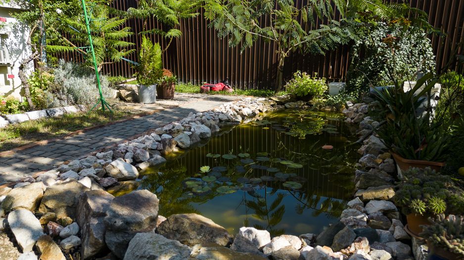 Casă individuală pe un nivel cu 5 camere, Lipova - Poză 7