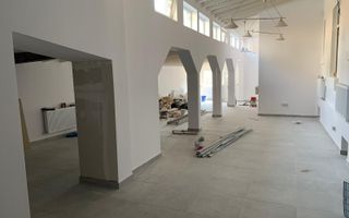 VANZARE - VILA 9 CAMERE  - Vasile Lascar, Mihai Eminescu, Bd. Dacia - Poză 12