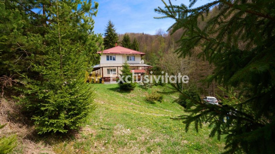 Casa Dambovicioara - CASA de vacanta sau PENSIUNE profitabila - Poză 2