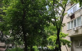 Apartament cu 1 camere I Alba Iulia I  Etaj 1/4 I 1985 - Poză 10