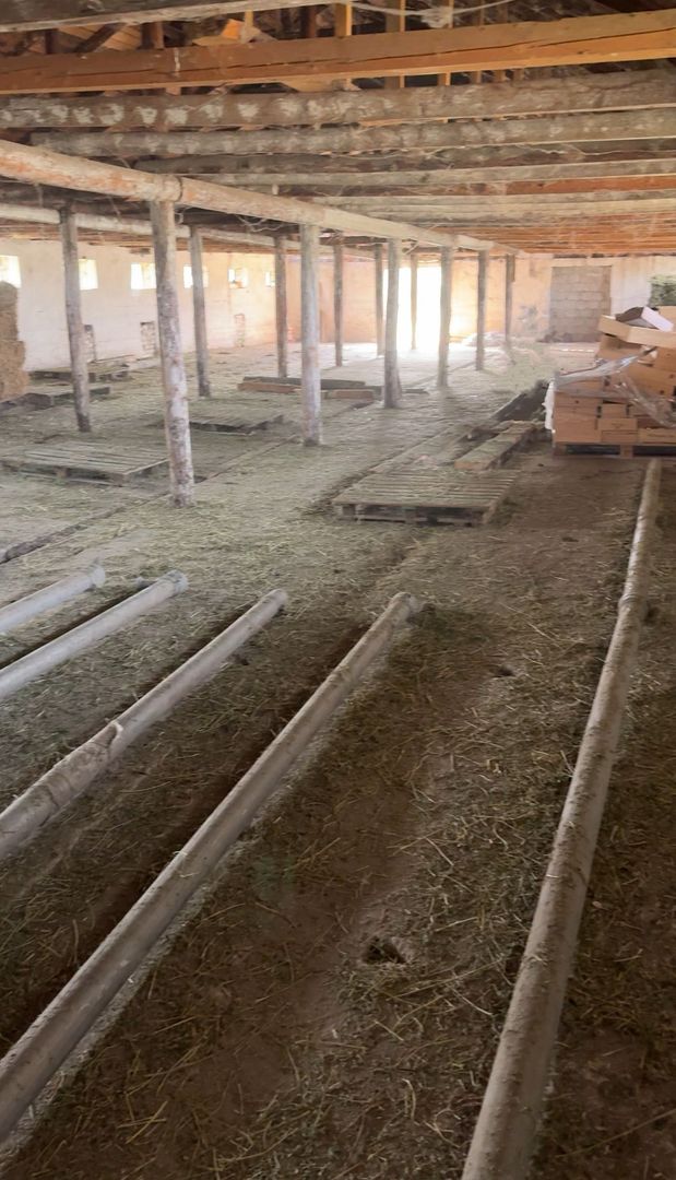 Teren intravilan 40.000 mp + hală 310 mp – Ivești, Galați - Poză 2