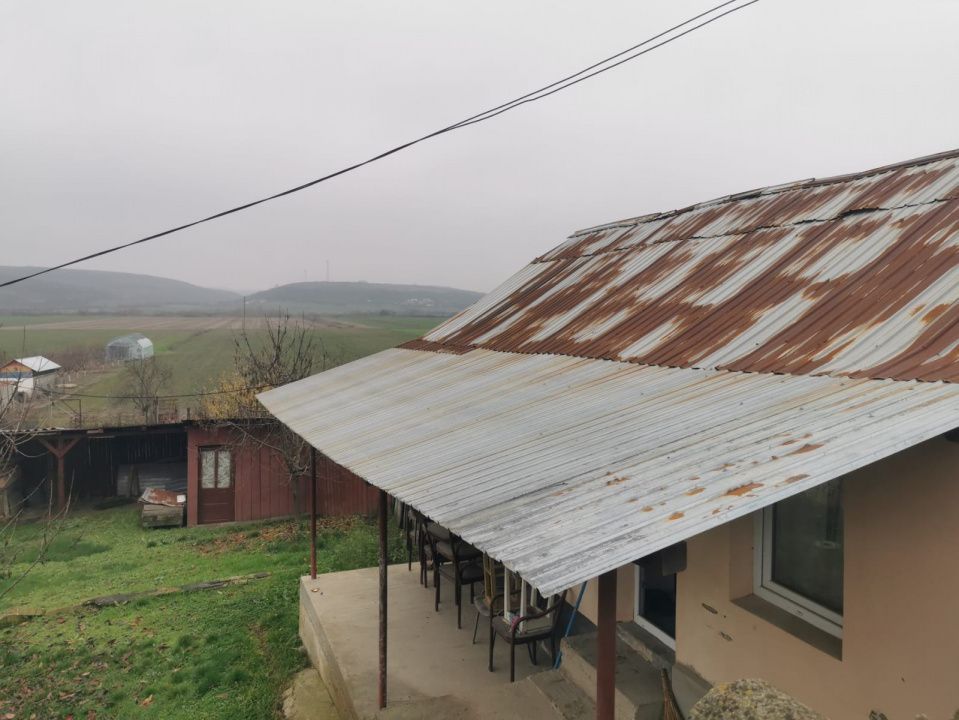 De vanzare casa in Argetoaia cu teren 7.000 mp - Poză 2