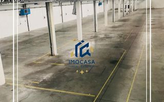 Hala de Inchiriat, comercial , industrial, logistica, Uta, Arad - Poză 5