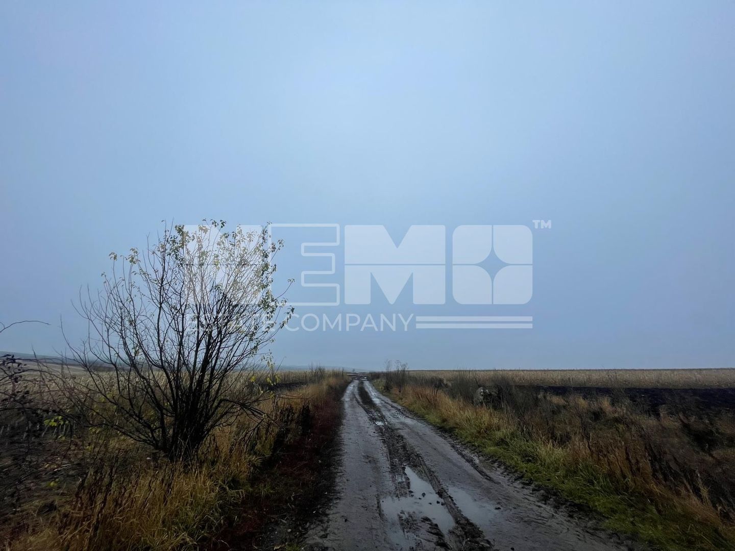 TEREN EXTRAVILAN | DOUA PARCELE| 70 ARI| IDEAL AGRICOL| CALAFINDESTI - Poză 8