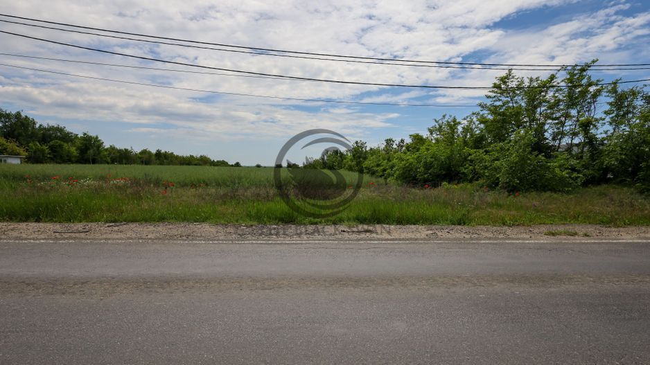 Teren de vanzare | 5000 mp | Parcul Industrial, Ploiesti | COMISION 0% - Poză 4