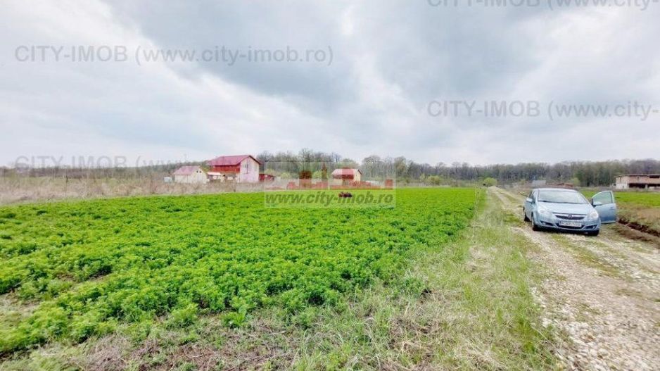 Teren de vanzare Cocani, Crevedia, langa  padure Dambovita - Poză 6