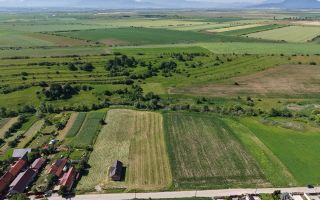 Teren intravilan 10.000 mp, Rotbav (Feldioara) - Poză 4