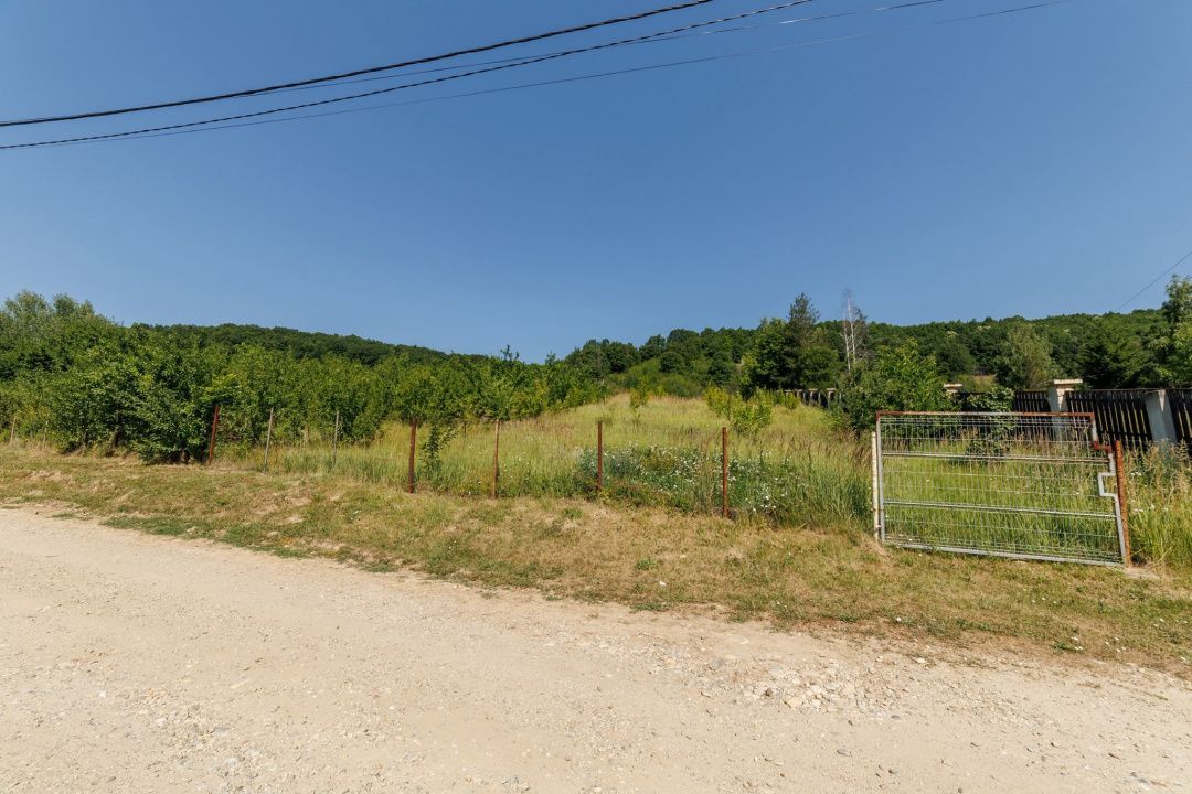 Teren intravilan Ștefănești Valea Mare Podgoria - Poză 1