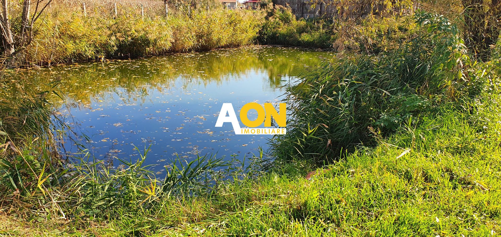 Casa cu 4 camere, la asfalt, 6200 mp teren, sat Sard, com. Ighiu - Poză 18