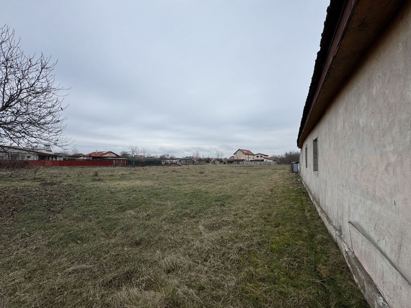 Teren Intravilan Becicherecu Mic 3104mp,F.S 38ml,Utilitati,Asfalt - Poză 3