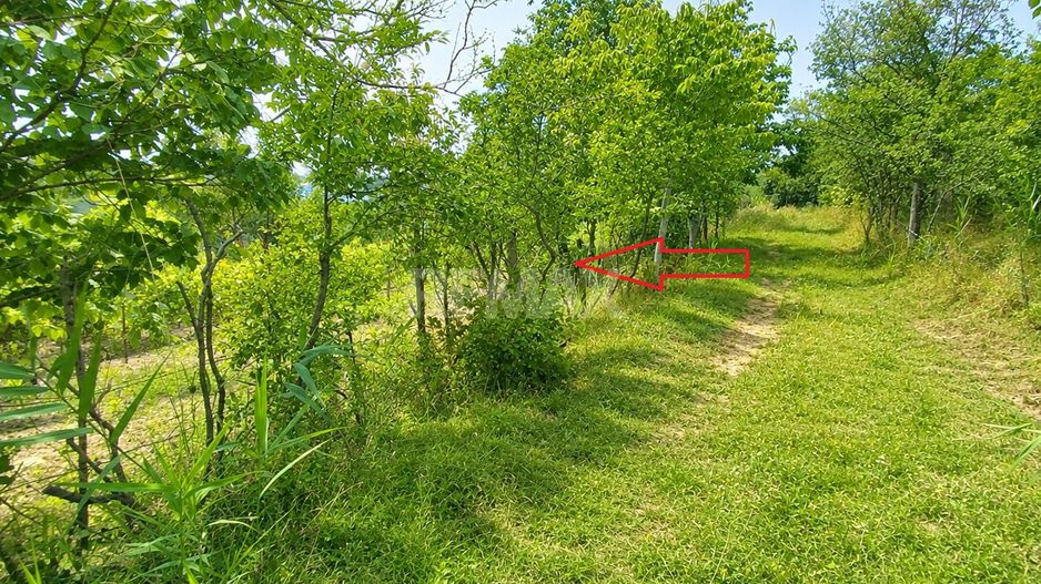 Lot pomiol în Sângera | Î.P. „Roadă Bună” | Zonă Locuită - Poză 6