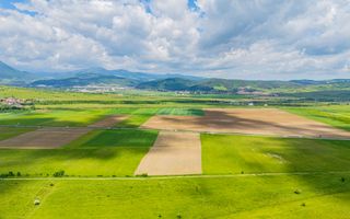 Teren de investiție în zona Tohanul Nou - Bran  5.800 mp - Poză 1