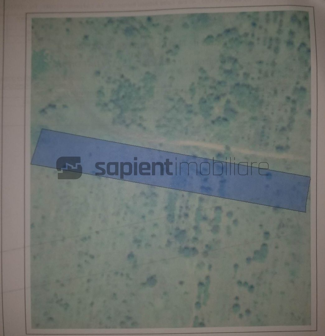 Teren Extravilan Livada Episcopia - Poză 3