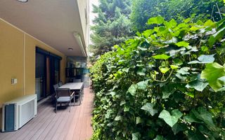 Apartament cu 5 camere parter + Gradina 100mp // Herastrau - Aviatiei - Poză 22