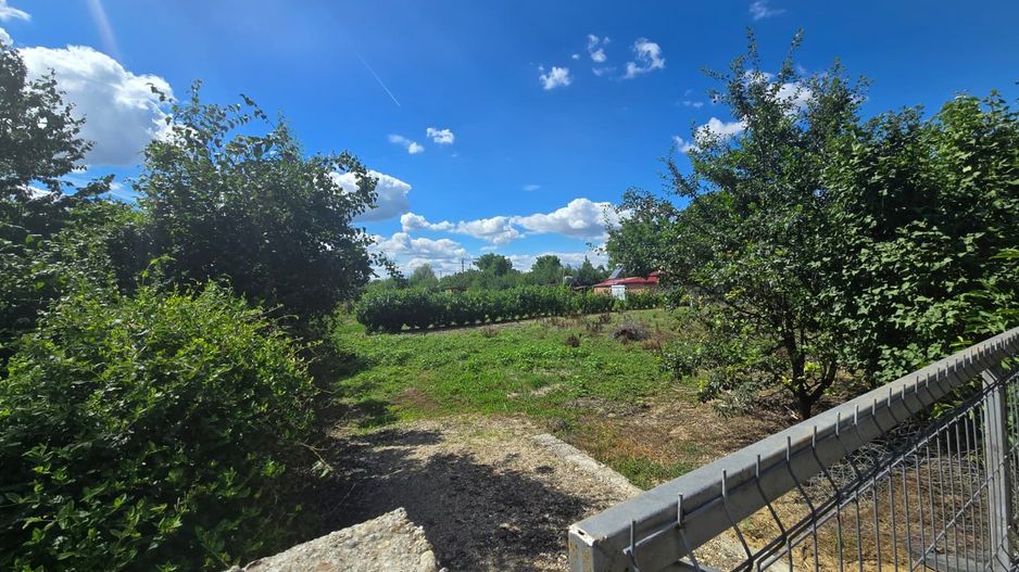 Teren 26 Ari intravilan Bercu Rosu - Poză 5