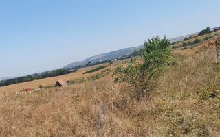 Oportunitate investitie. Oarda de Jos, 16 parcele de 490 mp - Poză 4