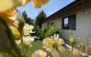 Casa pe parter Balotesti | Teren 600 mp - Poză 1