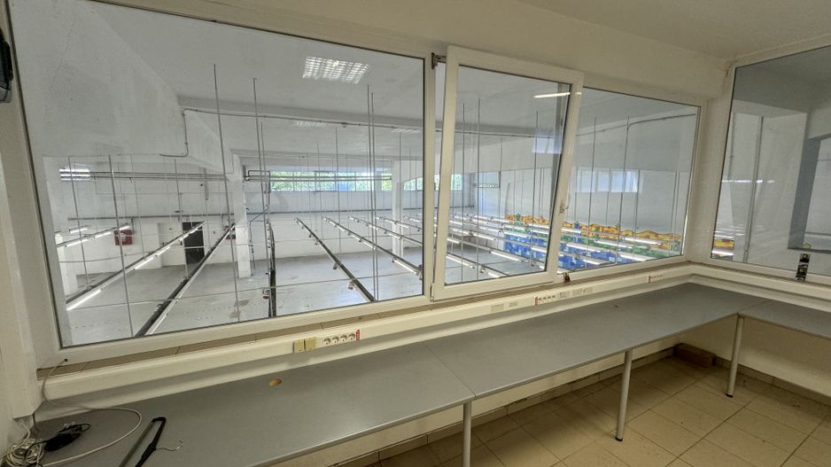 Hala productie P+1 si apartament de serviciu Navodari - c-tie beton - Poză 11