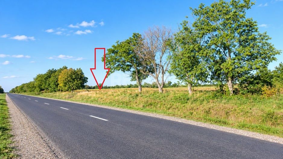 4,85 HA CU DESCHIDERE DE 300 M LA TRASEU | CRIULENI – SLOBOZIA-DUȘCA - Poză 10