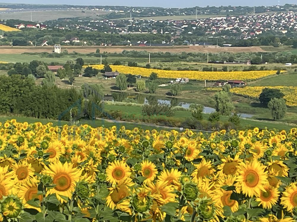 Teren intravilan ,Barnova ,Iași, 834 mp, priveliste panoramica deosebita,langa padure! - Poză 1