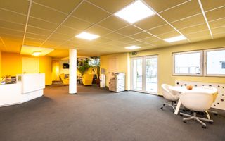 COMISION 0%, Hala productie-depozitare-service, Pantelimon- Bld. Biruintei - DN3 - Poză 23