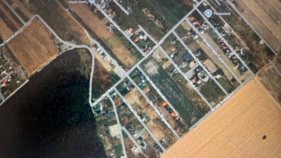 Teren intravilan 13.900 mp I Domnești-Țegheș I Deschidere 139 ml I  Utilități - Poză 3