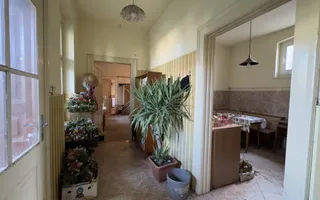 Casă 4 camere cu Teren 2.974 mp | Rezidență sau afacere | Carei - Poză 22