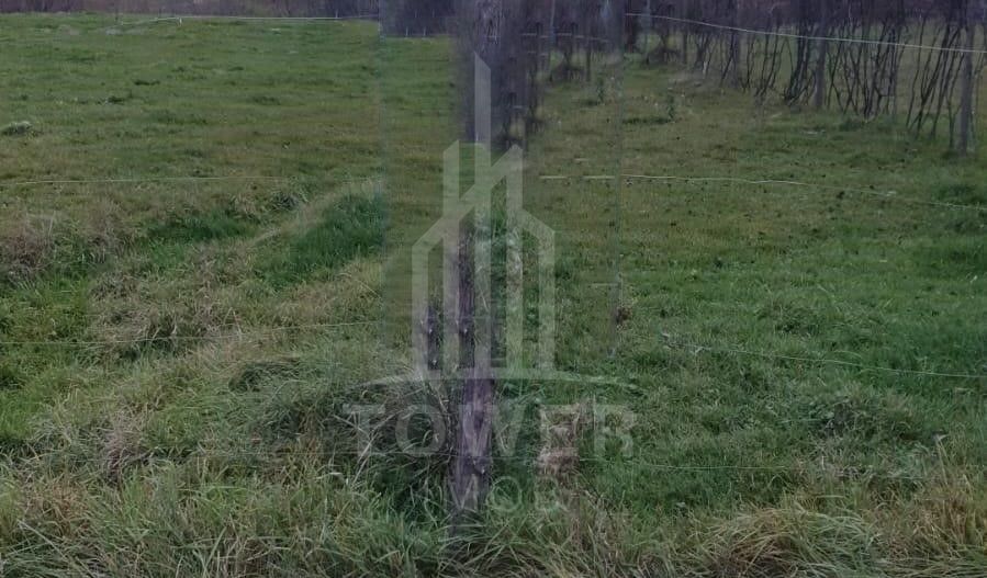 Teren 3.347 INTRAVILAN de vânzare | Sat Sibiel-Jud. Sibiu - Poză 3