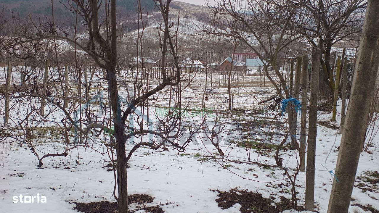 Teren intravilan 704 mp, acces asfaltat, priveliste Padurea Breazu - Poză 7