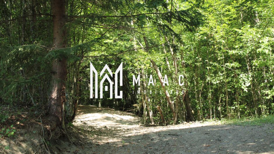 Terenuri Carpinis I parcelabil I Curent pe proprietati - Poză 60