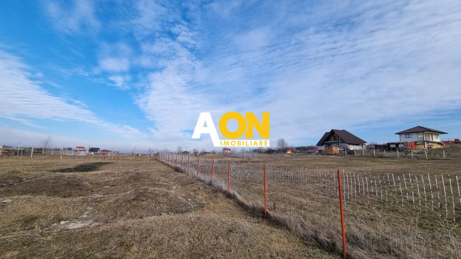 De vanzare teren intravilan 954mp, Oarda de Sus - Poză 4